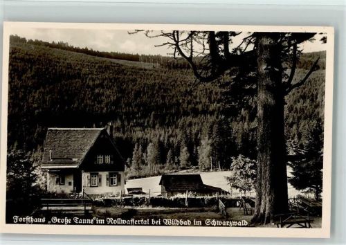 Bad Wildbad Forsthaus Große Tanne im Rollwassertal