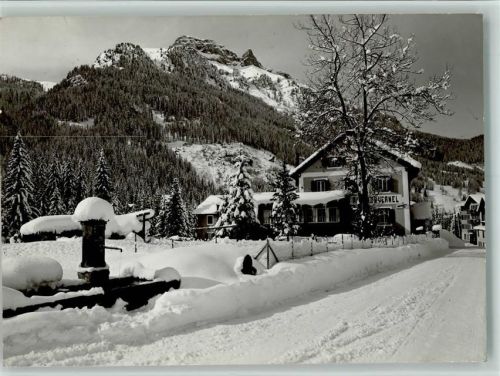 Penia Winteraufnahme