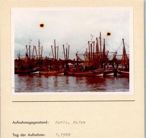 Harlesiel Hafen Fsicherboote Foto montiert auf Karton