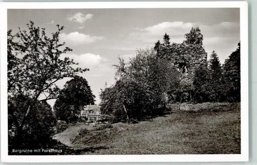 Börninghausen Forsthaus Limberg Burgruine