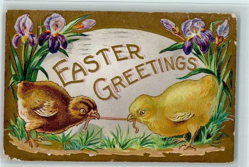 1910 Easter Greetings , Küken mit einem Regenwurm AK