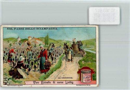 Weinlese - Sammelbild Liebig