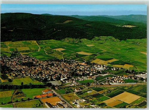 Deidesheim Fliegeraufnahme Rückseite mit Abschürfungen bzw Kleberesten