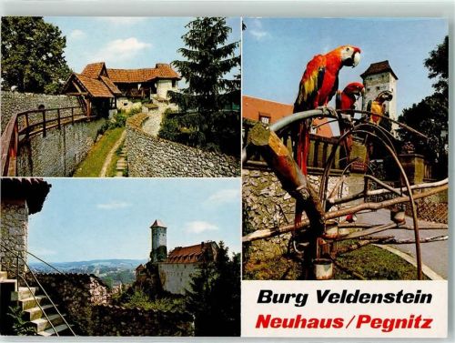 Neuhaus Burg Veldenstein Papageien