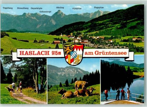 Haslach Grüntensee Kühe Wertachtal Rückseite mit Abschürfungen bzw Kleberesten
