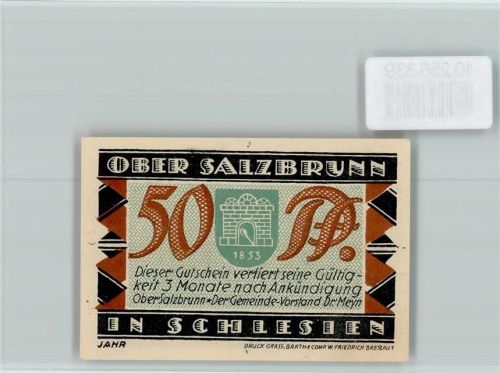 Bad Salzbrunn Notgeld Stadtwappen