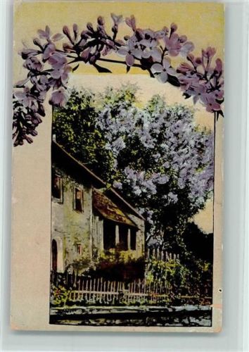 1915 Fliederbaum am Haus AK