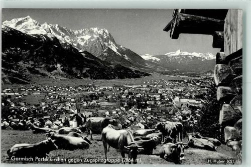 Garmisch-Partenkirchen Zugspitzgruppe Rinderherde Blockhaus