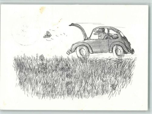 Karikatur Käfer "jagt" Schmetterling