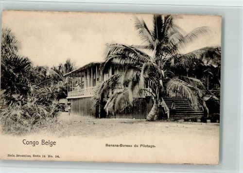 Banana-Bureau du Pilotage