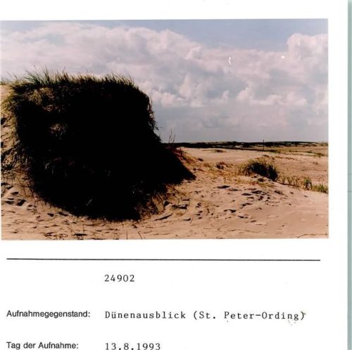 Sankt Peter-Ording Dünen Foto montiert auf Karton
