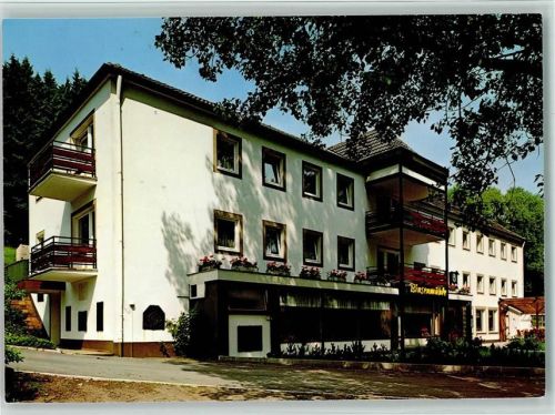54570 W5531 Deudesfeld - Waldhotel Binsenmühle