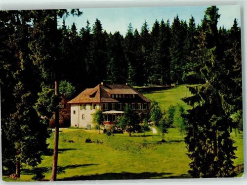 Kaltenbronn Rückseite mit Abschürfungen bzw Kleberesten Hotel