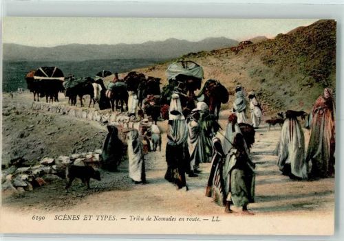 1913 Verlag LL 6190 Scenes et Types , Tribu de Nomades en route AK