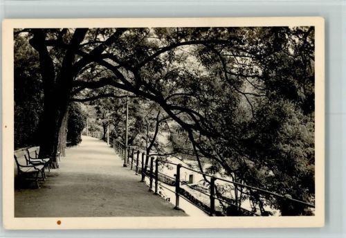 Meran Winter-Promenade