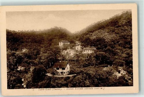 Tam Dao Station Estivale