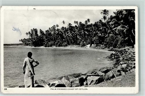 Palm fringed coast of Ceylon AK