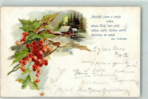 1902 Mondschein Johannisbeeren AK