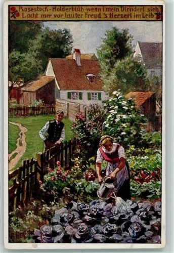 Volksliederkarten Nr. 41 Rosestock Holderblüh