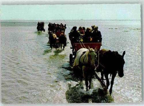 Cuxhaven Wattwagenfahrt