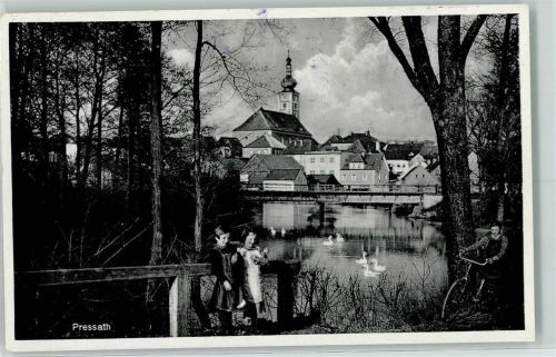 Pressath Weiher Enten