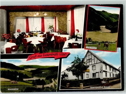 Udenbreth Gasthof Breuer Speiseraum Waldpartie