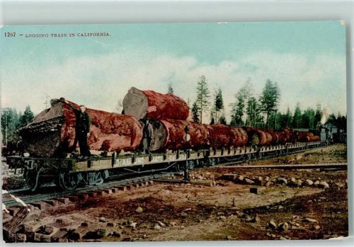 1909 Logging Train in California Baumstämme werden mit der Eisenbahn transportiert