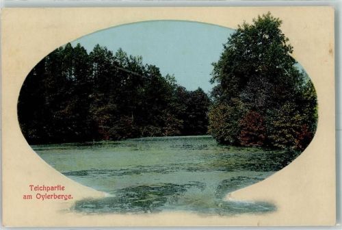 Nienburg Teichpartie am Oylerberge