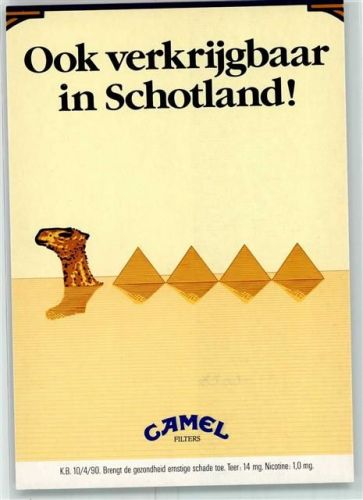 Camel Boomerang free cards AK