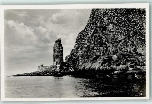 Bodo Vogelberg Nordland