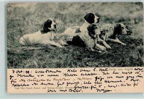 1899 Jagdhunde English Pointer