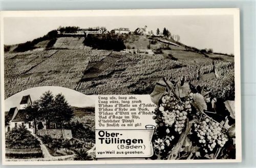 Tüllingen Weinberge Weintrauben