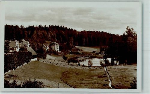 Königsfeld Ententeich