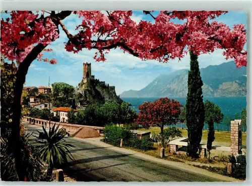 Malcesine Il Castello Das Schloss Baumblüte