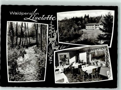 Trienz Gasthaus Waldpension Lieselotte Bes.Fam.H.Schuh Reh Gastraum