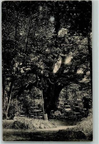 54568 W5530 Gerolstein 1918 - Große Gerolsteiner Friedenslinde Stempel: Zu befördern