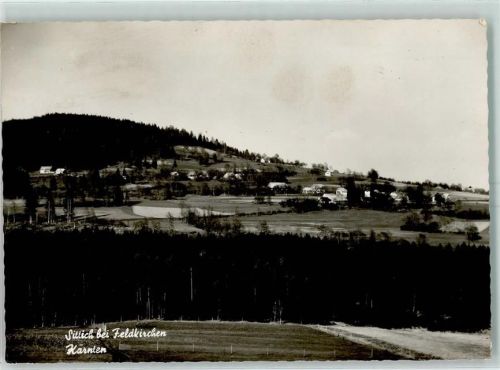 Sittich