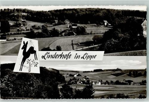 Linderhofe Reh