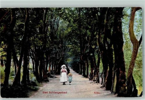 Schlangenbad 1912 Waldallee