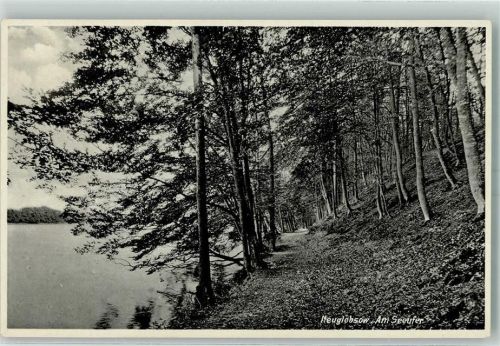 16775 O1431 Neuglobsow - Am Seeufer