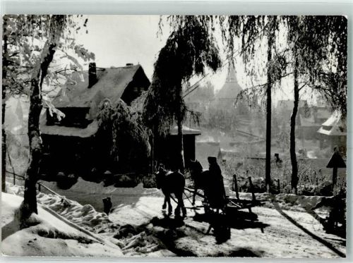 Kurort Seiffen Pferdeschlitten Winter