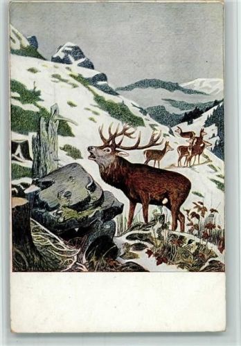 Serie II, 5 - Ludwig Hoeß - Brunftschrei , Jagdtiere AK
