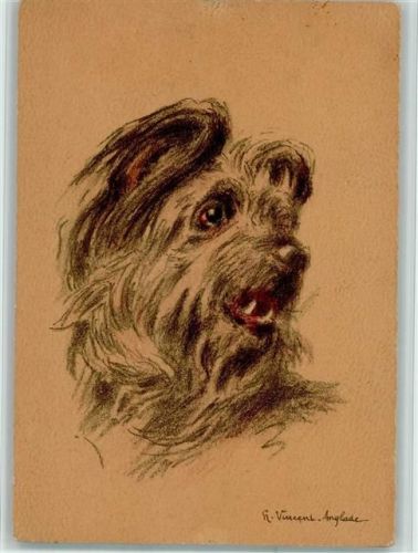 Serie sign vincent Anglade - Briard Hund