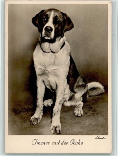 Immer mit der Ruhe - ca 1938 AK