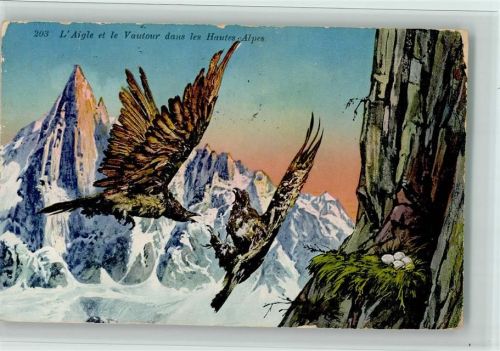 1922 Adler in den Alpen - Kampf in der Luft