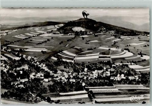 Waldkatzenbach