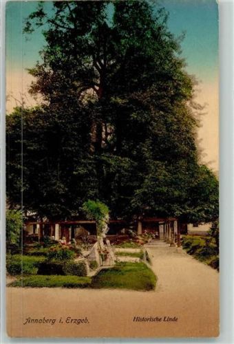 Annaberg-Buchholz 1908 Historische Linde