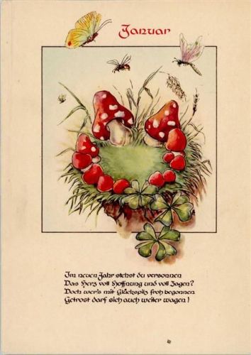 Pilz Januar Insekten AK Monat 1948