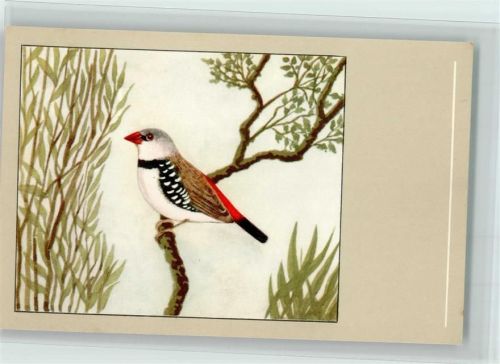 Diamantfink - Serie - Verlag Sluis Birdfood , gute Erhaltung