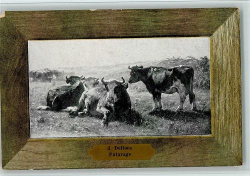 von Deltoos im Schmuckrahmen - - Kühe - gute Erhaltung